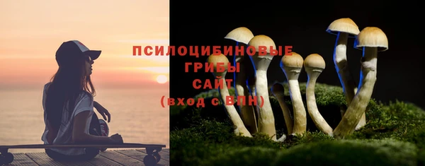 спиды Волоколамск