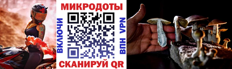 Галлюциногенные грибы мицелий  Купить где  Анадырь 